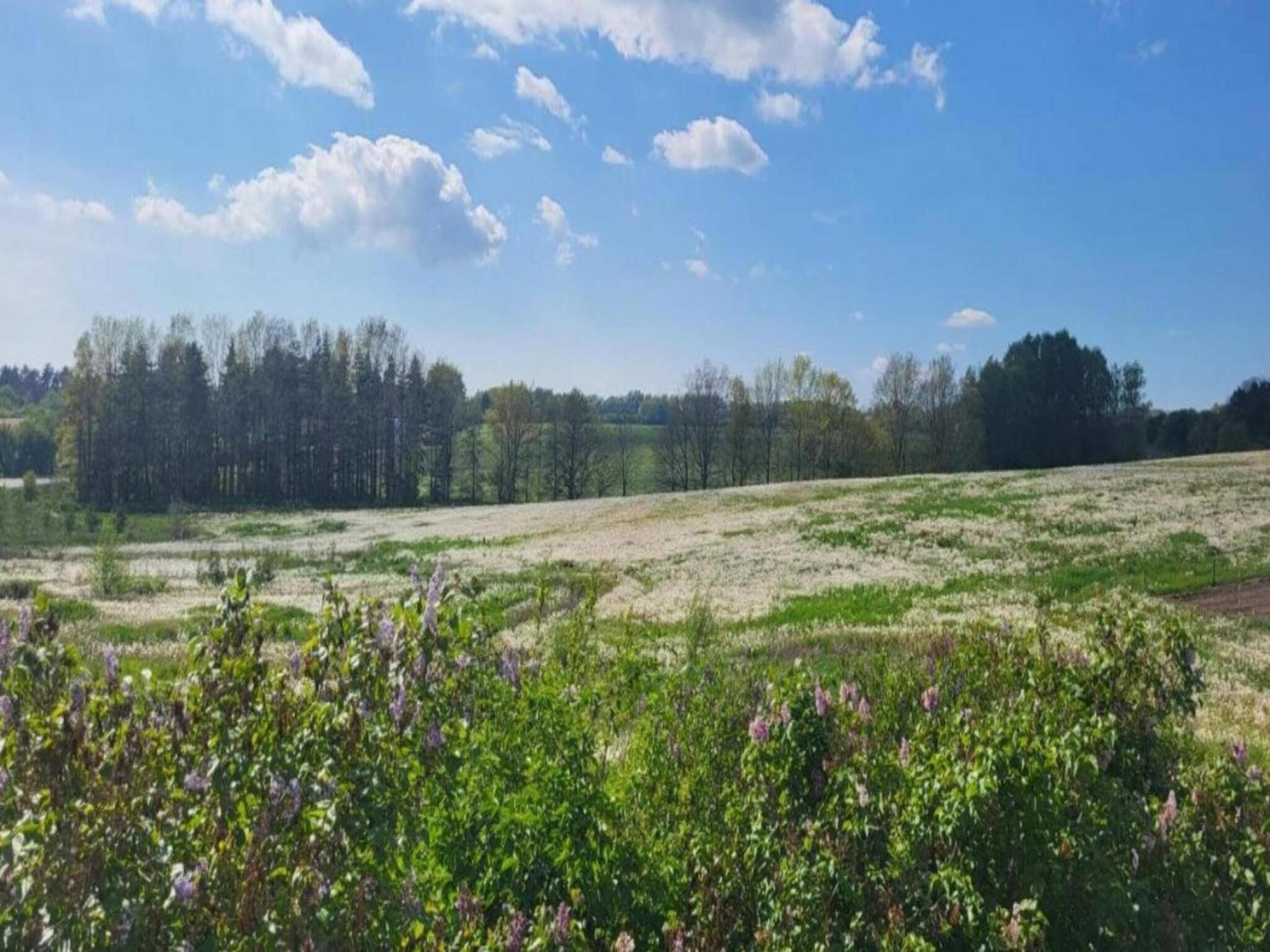 Apartament Lysbjerg Fåborg Zewnętrze zdjęcie